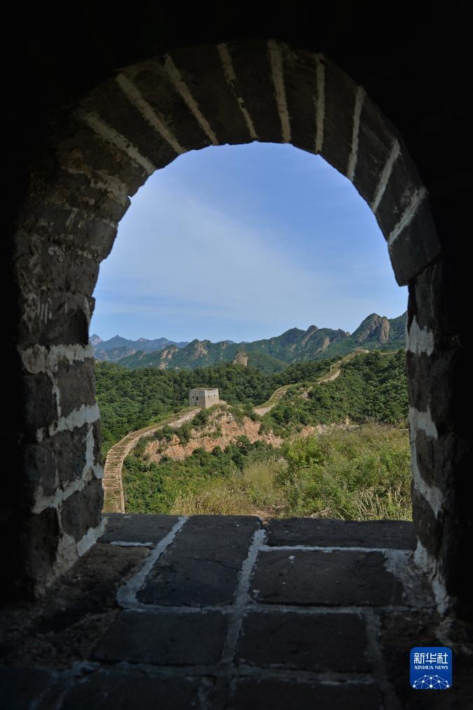 摆脱游戏手机版